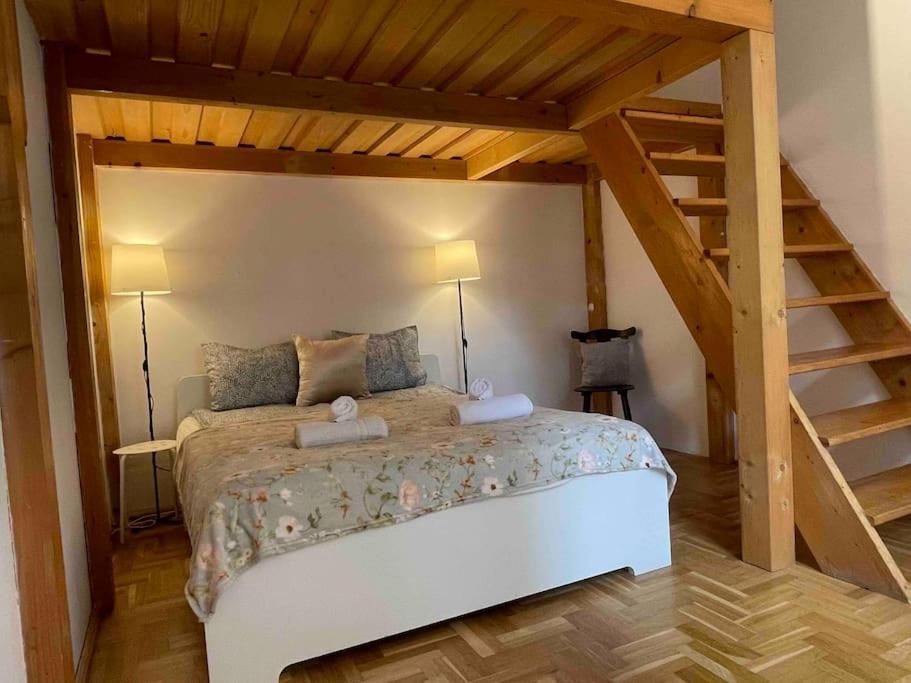 Knezits Spacious Ac Terrace Free Parking Βουδαπέστη Εξωτερικό φωτογραφία
