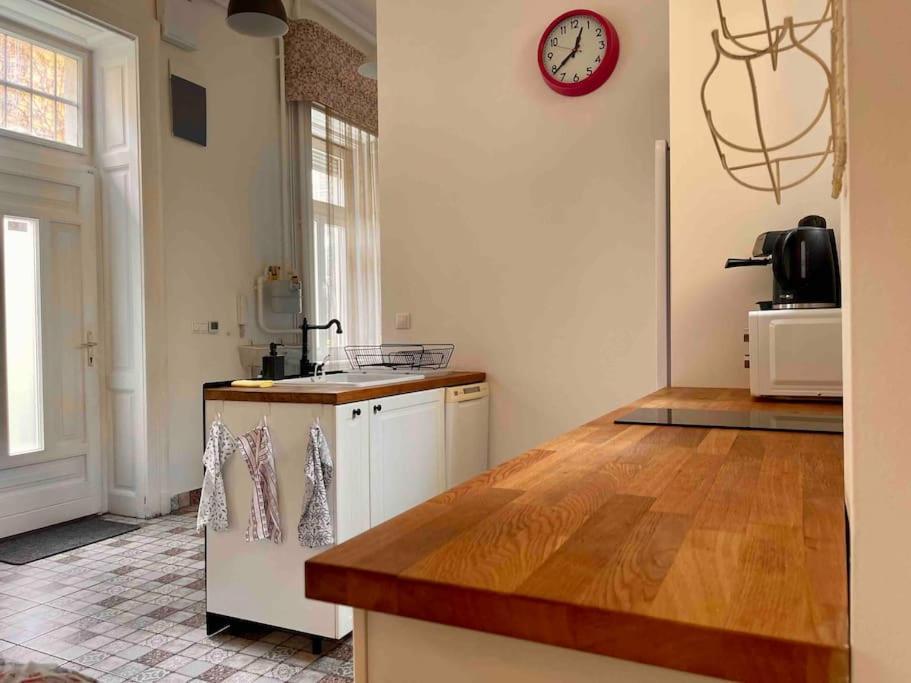 Knezits Spacious Ac Terrace Free Parking Βουδαπέστη Εξωτερικό φωτογραφία