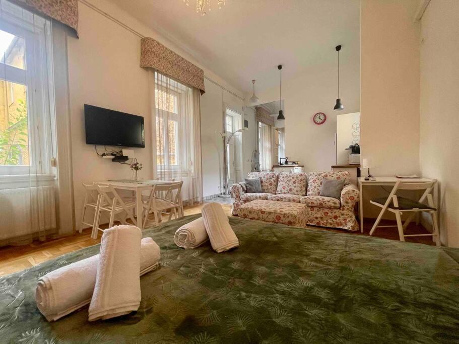 Knezits Spacious Ac Terrace Free Parking Βουδαπέστη Εξωτερικό φωτογραφία