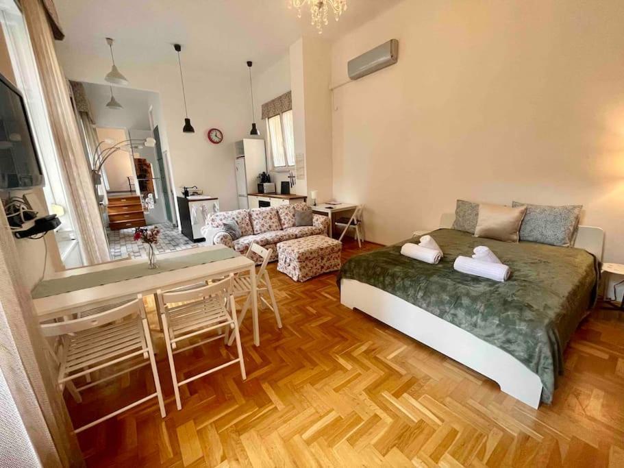Knezits Spacious Ac Terrace Free Parking Βουδαπέστη Εξωτερικό φωτογραφία