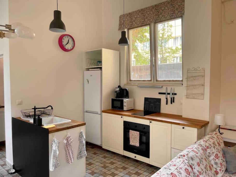 Knezits Spacious Ac Terrace Free Parking Βουδαπέστη Εξωτερικό φωτογραφία