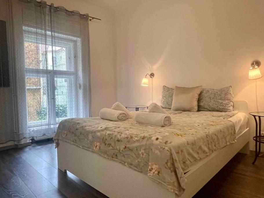 Knezits Spacious Ac Terrace Free Parking Βουδαπέστη Εξωτερικό φωτογραφία